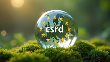 CSRD and ESRS: Preparing for the 2025 Sustainability Reporting Obligation