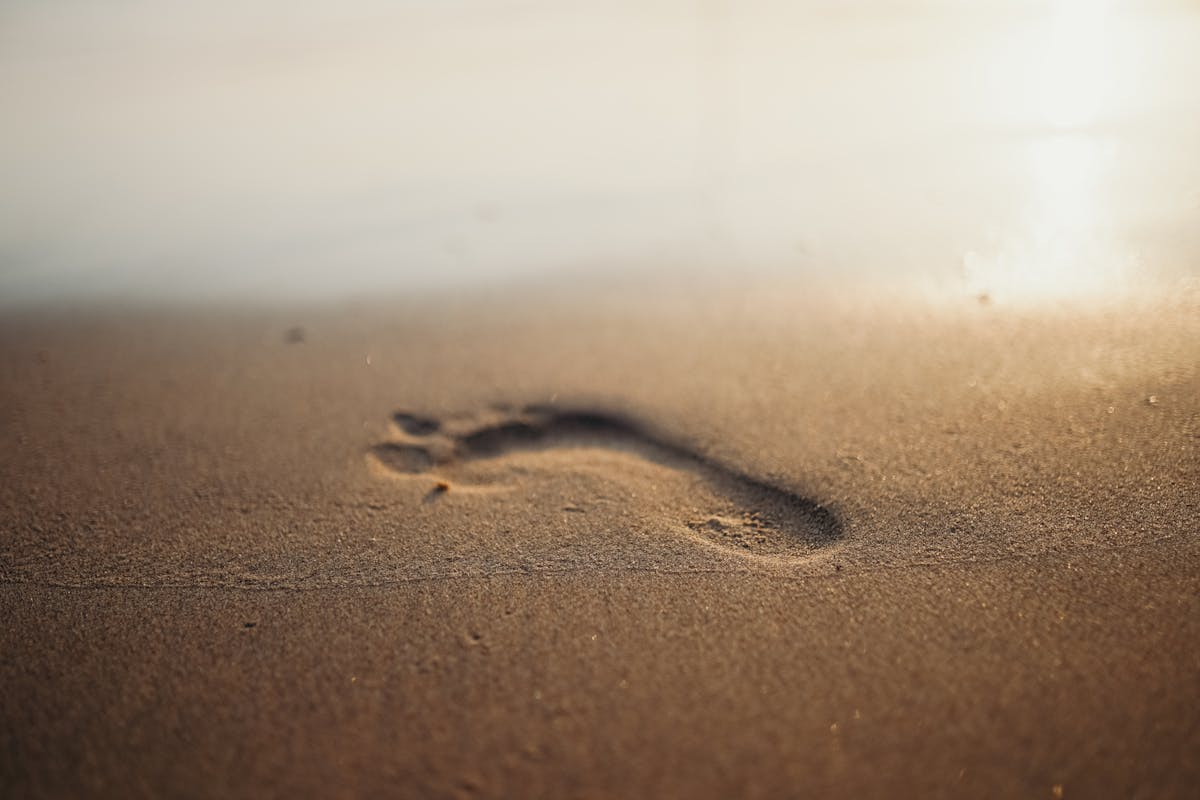 Carbon Footprint Calculation