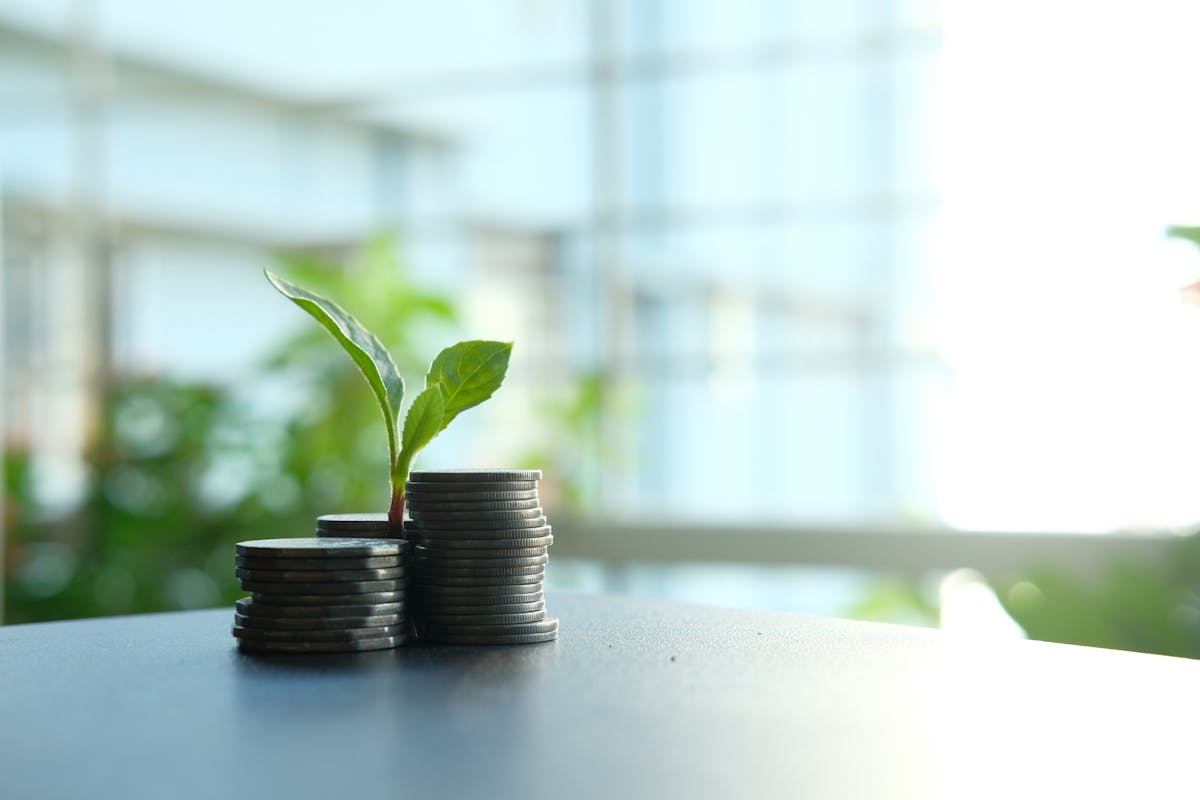 ESG Consulting